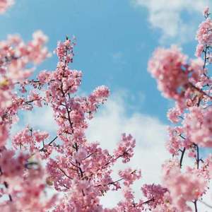 被❌到爽🔞流羞羞扒开
